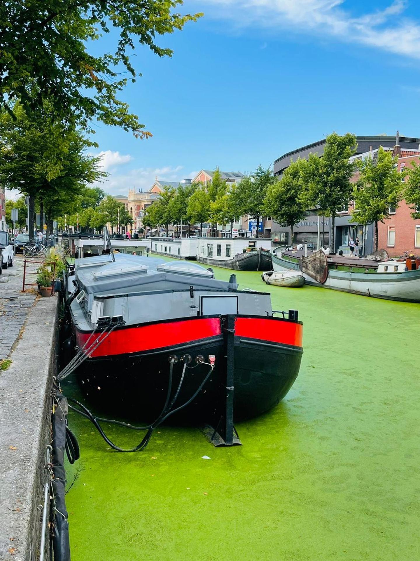 Guesthouse Het Gouden Eiland Veendam Екстер'єр фото